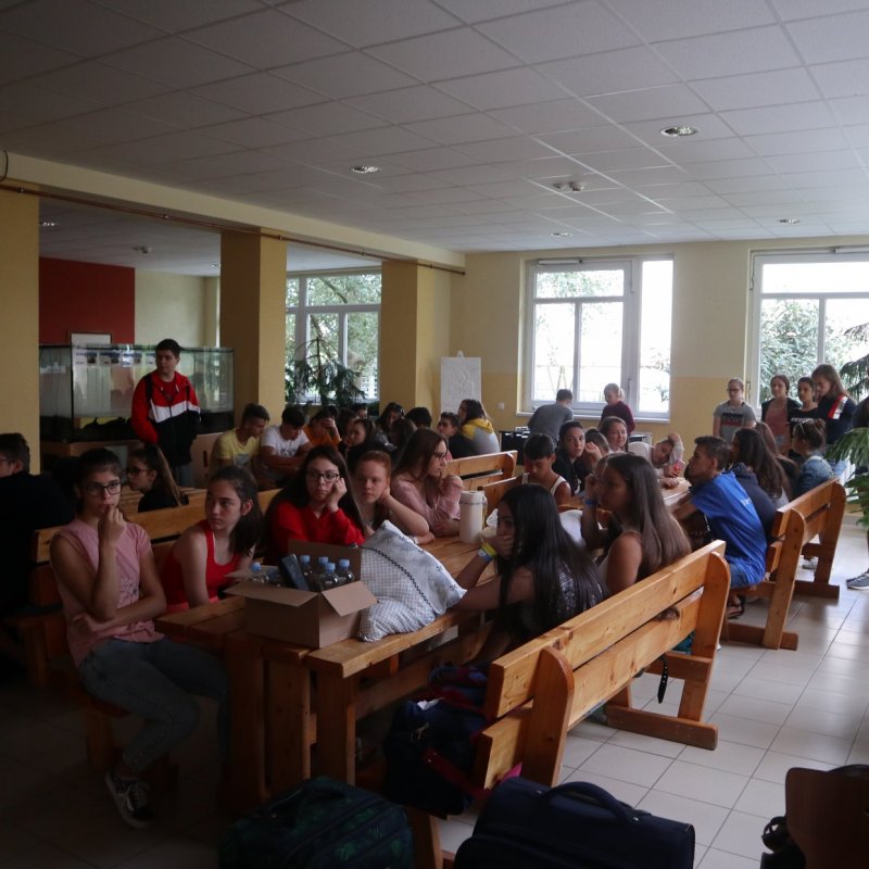 Verébtábor az Aranyban 2019 20